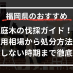 庭木の伐採ガイド！費用相場から処分方法、失敗しない時期まで徹底解説